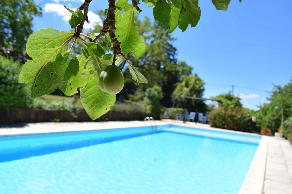 Camping Chez Francis Bed and Breakfast Loupiac  Eksteriør billede